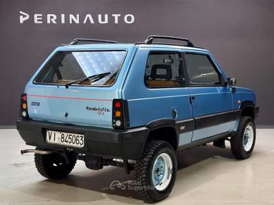 Fiat Panda 4X4 1.0 Blu/Azzurro usata Bassano del Grappa