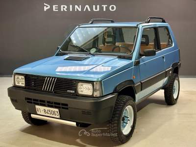 Fiat Panda 4X4 1.0 Blu/Azzurro usata Bassano del Grappa