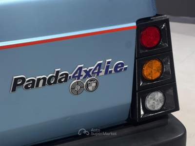 Fiat Panda 4X4 1.0 Blu/Azzurro usata Bassano del Grappa