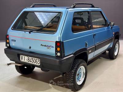 Fiat Panda 4X4 1.0 Blu/Azzurro usata Bassano del Grappa