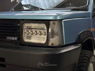 Fiat Panda 4X4 1.0 Blu/Azzurro usata Bassano del Grappa