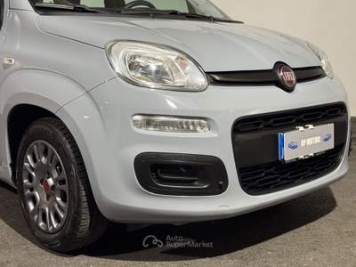 Fiat Panda FireFly S&S Hybrid Grigio usata Cardito