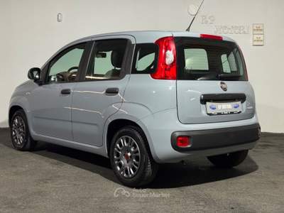 Fiat Panda FireFly S&S Hybrid Grigio usata Cardito