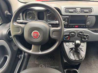 Fiat Panda FireFly S&S Hybrid Grigio usata Cardito