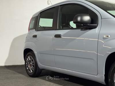 Fiat Panda FireFly S&S Hybrid Grigio usata Cardito