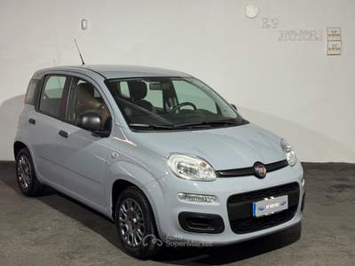 Fiat Panda FireFly S&S Hybrid Grigio usata Cardito
