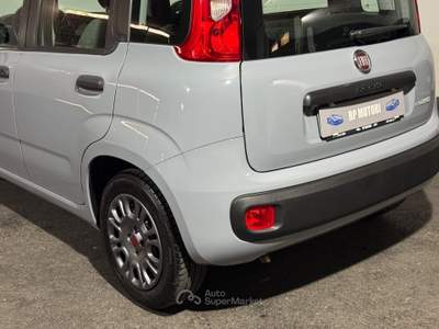 Fiat Panda FireFly S&S Hybrid Grigio usata Cardito