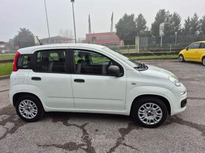 Fiat Panda 1.2 EasyPower Lounge no vincoli Bianco usata Castegnato