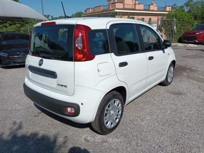 Fiat Panda 1000 HYBRID 70 CV PACK CITY 5 POSTI USB ITALIA Bianco usata Roma