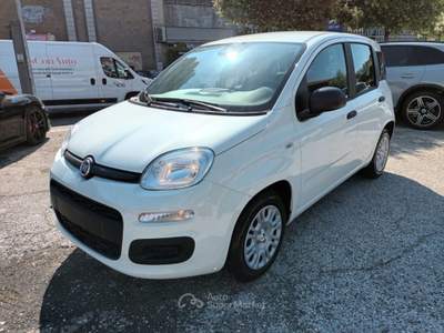 Fiat Panda 1000 HYBRID 70 CV PACK CITY 5 POSTI USB ITALIA Bianco usata Roma