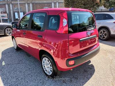 Fiat Panda 1000 HYBRID 70 CV PDC ITALIA Rosso usata Roma
