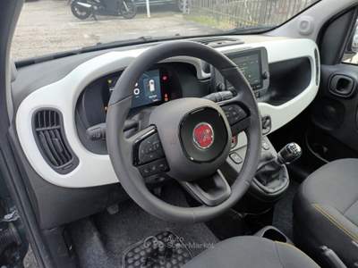 Fiat Panda 1000 HYBRID PANDINA 70 CV CARPLAY PDC ITALIA Verde usata Roma
