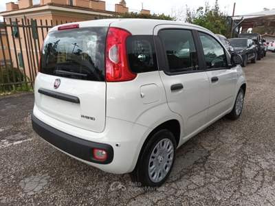 Fiat Panda 1000 HYBRID PANDINA POP 70CV ITALIA Bianco usata Roma