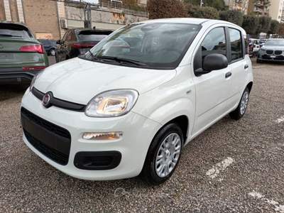 Fiat Panda 1000 HYBRID PANDINA POP 70CV ITALIA Bianco usata Roma