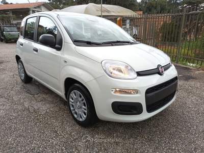 Fiat Panda 1000 HYBRID PANDINA POP 70CV ITALIA Bianco usata Roma