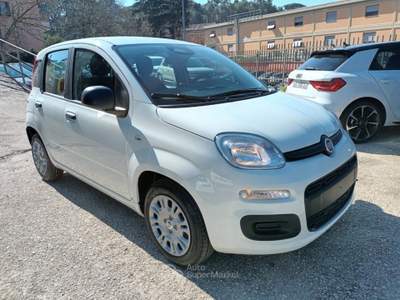 Fiat Panda 1000 HYBRID PANDINA ICON 65CV PACKCITY ITALIA Bianco usata Roma