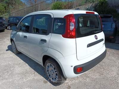 Fiat Panda 1000 HYBRID PANDINA ICON 65CV PACKCITY ITALIA Bianco usata Roma
