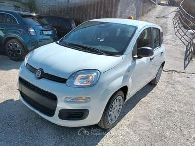 Fiat Panda 1000 HYBRID PANDINA ICON 65CV PACKCITY ITALIA Bianco usata Roma