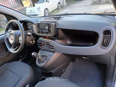 Fiat Panda 1000 HYBRID PANDINA ICON 70CV 5P PACKCITY ITALIA Bianco usata Roma