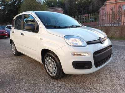 Fiat Panda 1000 HYBRID PANDINA ICON 70CV 5P PACKCITY ITALIA Bianco usata Roma