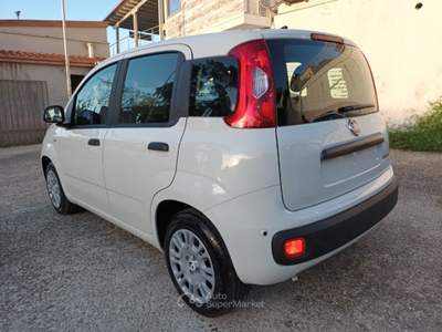 Fiat Panda 1000 HYBRID PANDINA ICON 70CV 5P PACKCITY ITALIA Bianco usata Roma