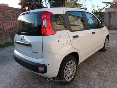 Fiat Panda 1000 HYBRID PANDINA ICON 70CV 5P PACKCITY ITALIA Bianco usata Roma