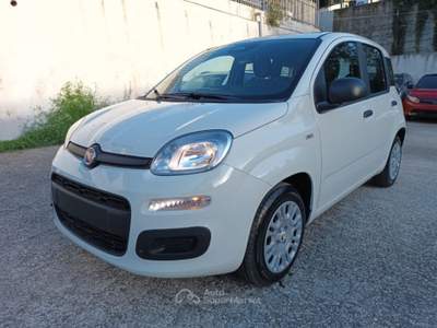 Fiat Panda 1000 HYBRID PANDINA ICON 70CV 5P PACKCITY ITALIA Bianco usata Roma