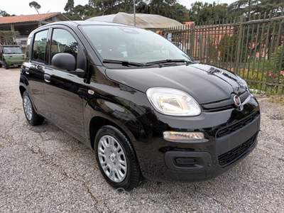 Fiat Panda 1000 HYBRID PANDINA POP 70CV ITALIA Nero usata Roma