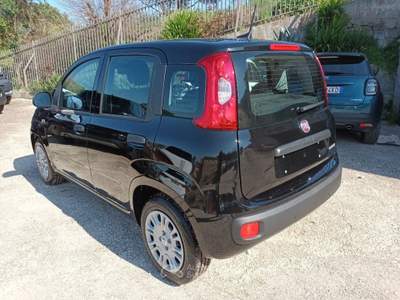 Fiat Panda 1000 HYBRID PANDINA ICON 70CV 5P PACKCITY ITALIA Nero usata Roma