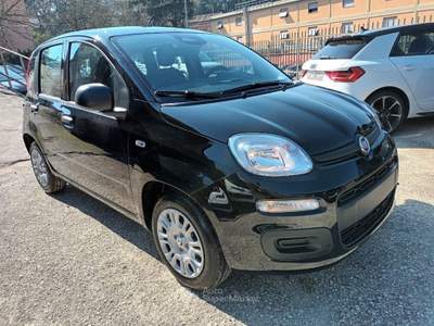 Fiat Panda 1000 HYBRID PANDINA ICON 70CV 5P PACKCITY ITALIA Nero usata Roma