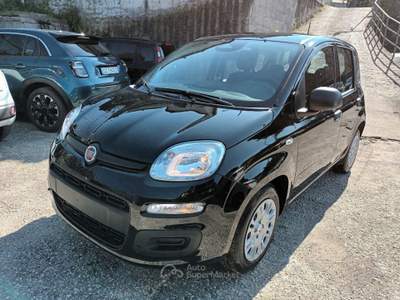 Fiat Panda 1000 HYBRID PANDINA ICON 70CV 5P PACKCITY ITALIA Nero usata Roma