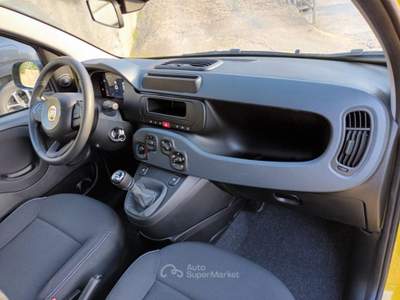 Fiat Panda 1000 HYBRID PANDINA POP 65CV ITALIA Giallo usata Roma