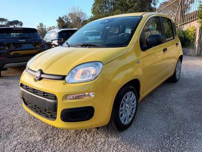 Fiat Panda 1000 HYBRID PANDINA POP 65CV ITALIA Giallo usata Roma