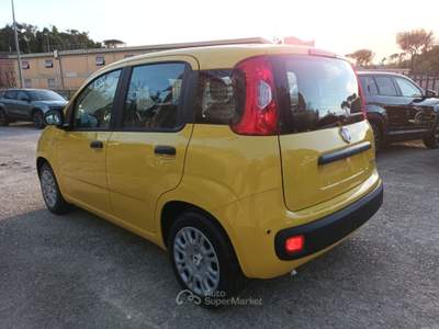 Fiat Panda 1000 HYBRID PANDINA POP 65CV ITALIA Giallo usata Roma