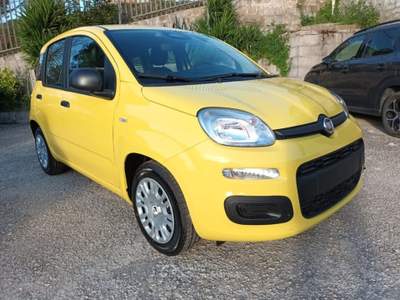 Fiat Panda 1000 HYBRID PANDINA POP 65CV ITALIA Giallo usata Roma