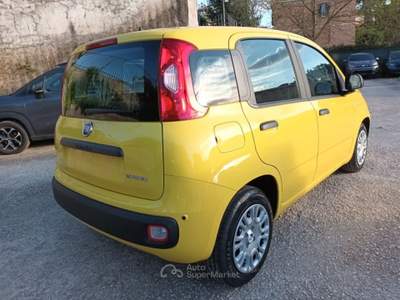 Fiat Panda 1000 HYBRID PANDINA POP 65CV ITALIA Giallo usata Roma