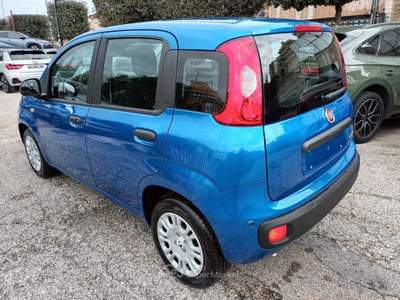 Fiat Panda 1000 HYBRID PANDINA POP 65CV ITALIA Blu/Azzurro usata Roma
