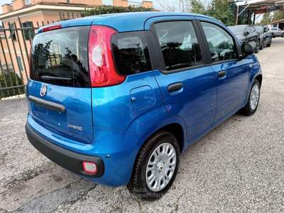 Fiat Panda 1000 HYBRID PANDINA POP 65CV ITALIA Blu/Azzurro usata Roma