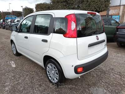 Fiat Panda 1000 HYBRID PANDINA POP 65CV ITALIA Bianco usata Roma