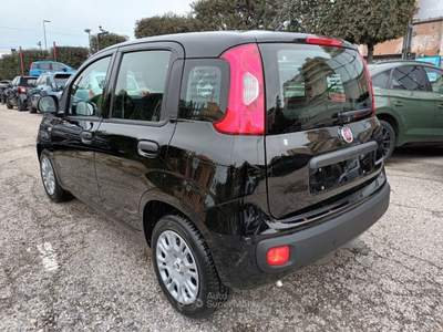 Fiat Panda 1000 HYBRID PANDINA POP 65CV ITALIA Nero usata Roma