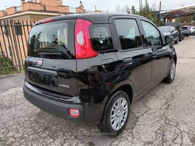 Fiat Panda 1000 HYBRID PANDINA POP 65CV ITALIA Nero usata Roma