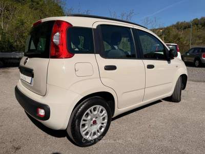 Fiat Panda 1.2 EasyPower Easy GPL Beige usata Teano