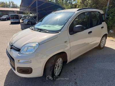 Fiat Panda 1.2 EasyPower Easy GPL Beige usata Teano