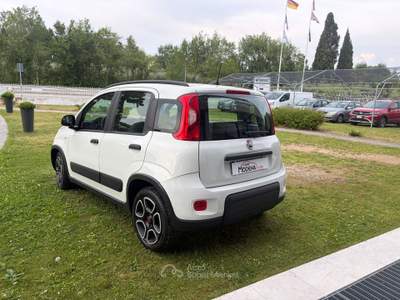 Fiat Panda BELLISSIMA FIAT PANDA 1.2 GPL CASA MADRE Bianco usata Lazise