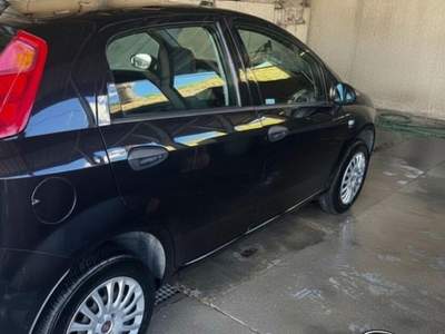 Fiat Punto 1.4 5 porte OK NEOPATENTATI Grigio usata Sant'Angelo in vado