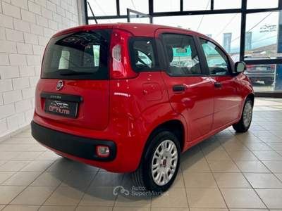 Fiat Panda 1.2 Pop *NEOPATENTATI* Rosso usata Cassina de' Pecchi