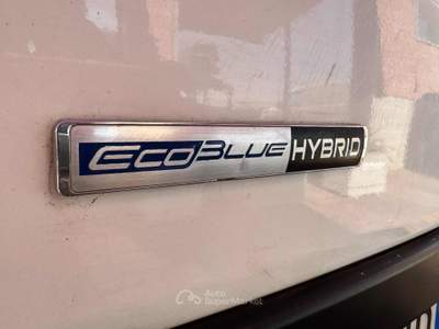 Ford Transit 2.0TDCi EcoBlue MHEV 130CV PM-TM HYBRIDO TAGLIAND Bianco usata Rovello Porro