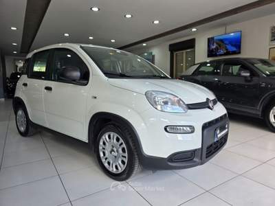 Fiat Panda 1.0 70CV FireFly S&S Hybrid Virtual Cokpit Bianco usata Mirabella Imbaccari