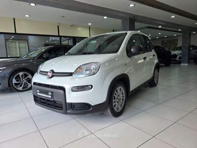 Fiat Panda 1.0 70CV FireFly S&S Hybrid Virtual Cokpit Bianco usata Mirabella Imbaccari