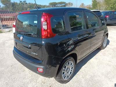 Fiat Panda 1000 HYBRID PANDINA ICON 70CV 5P PACKCITY ITALIA Nero usata Pistoia